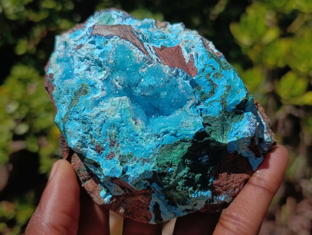 Natural Drusy Coated Chrysocolla with Malachite on a Ferro Dolomite Matrix x 1 From Lupoto Mine, Congo