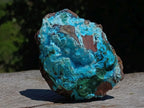 Natural Drusy Coated Chrysocolla with Malachite on a Ferro Dolomite Matrix x 1 From Lupoto Mine, Congo