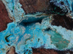 Natural Drusy Coated Chrysocolla with Malachite on a Ferro Dolomite Matrix x 1 From Lupoto Mine, Congo