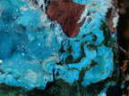 Natural Drusy Coated Chrysocolla with Malachite on a Ferro Dolomite Matrix x 1 From Lupoto Mine, Congo