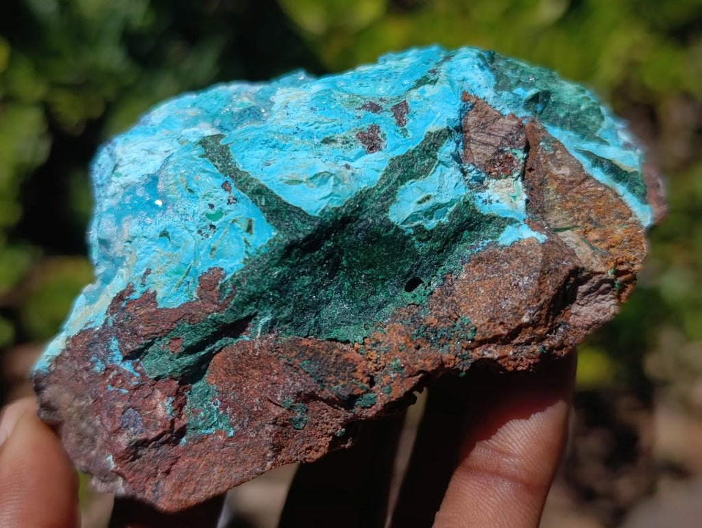 Natural Drusy Coated Chrysocolla with Malachite on a Ferro Dolomite Matrix x 1 From Lupoto Mine, Congo