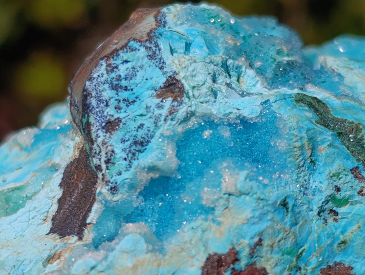 Natural Drusy Coated Chrysocolla with Malachite on a Ferro Dolomite Matrix x 1 From Lupoto Mine, Congo