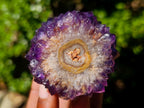Hand Made and Natural Ultra Rare Amethyst Stalactite Inside of an Ostrich Faberge Egg  x 1 From South Africa