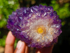 Hand Made and Natural Ultra Rare Amethyst Stalactite Inside of an Ostrich Faberge Egg  x 1 From South Africa