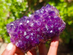 Hand Made and Natural Ultra Rare Amethyst Stalactite Inside of an Ostrich Faberge Egg  x 1 From South Africa