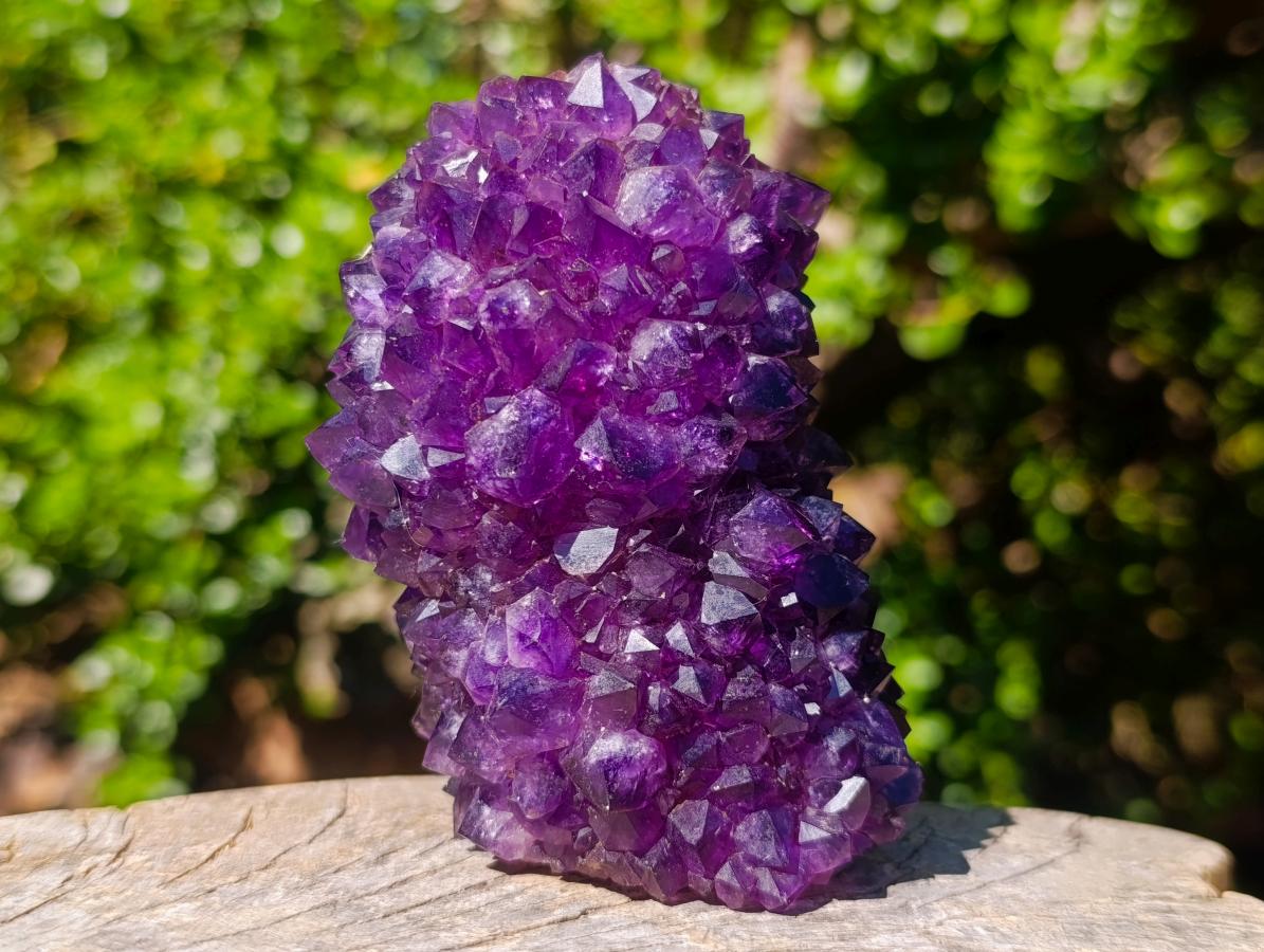 Hand Made and Natural Ultra Rare Amethyst Stalactite Inside of an Ostrich Faberge Egg  x 1 From South Africa