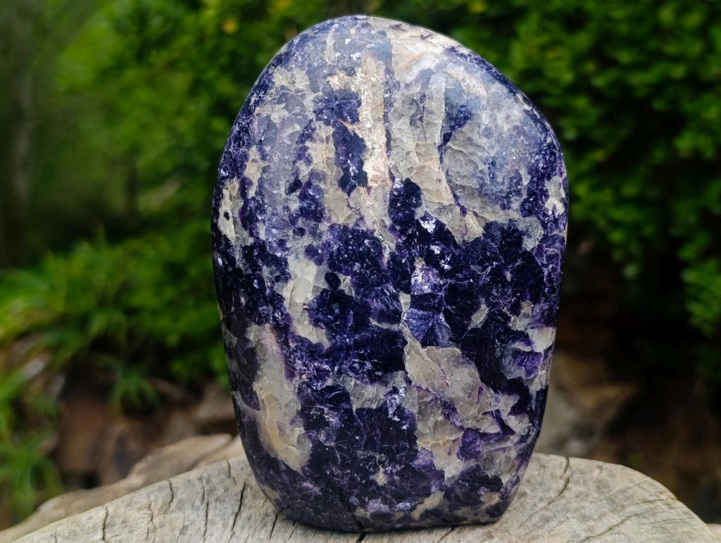 Polished Exquisite Silver Leaf Lepidolite Standing Display Piece x 1 From Zimbabwe