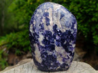 Polished Exquisite Silver Leaf Lepidolite Standing Display Piece x 1 From Zimbabwe