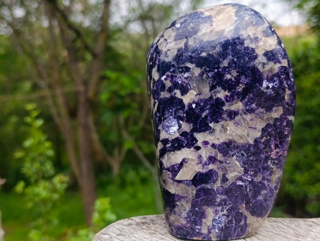 Polished Exquisite Silver Leaf Lepidolite Standing Display Piece x 1 From Zimbabwe