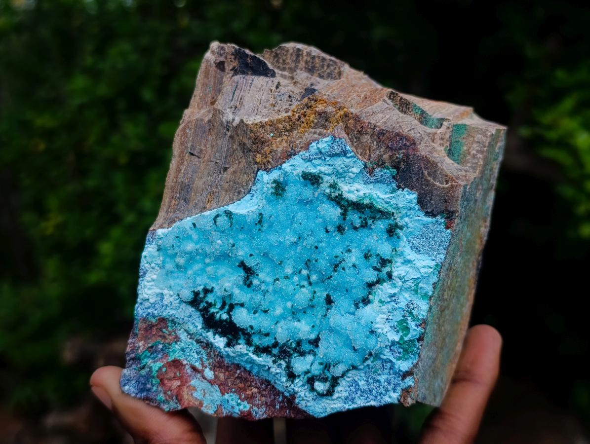 Natural Sparkling Stalagmitic Drusy Coated Chrysocolla with Acicular Malachite x 1 From Lupoto Mine, Congo