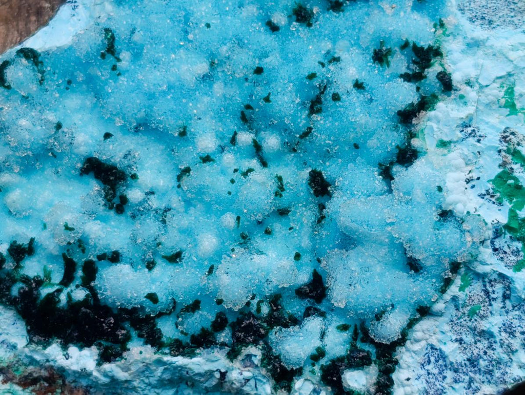 Natural Sparkling Stalagmitic Drusy Coated Chrysocolla with Acicular Malachite x 1 From Lupoto Mine, Congo