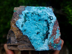 Natural Sparkling Stalagmitic Drusy Coated Chrysocolla with Acicular Malachite x 1 From Lupoto Mine, Congo