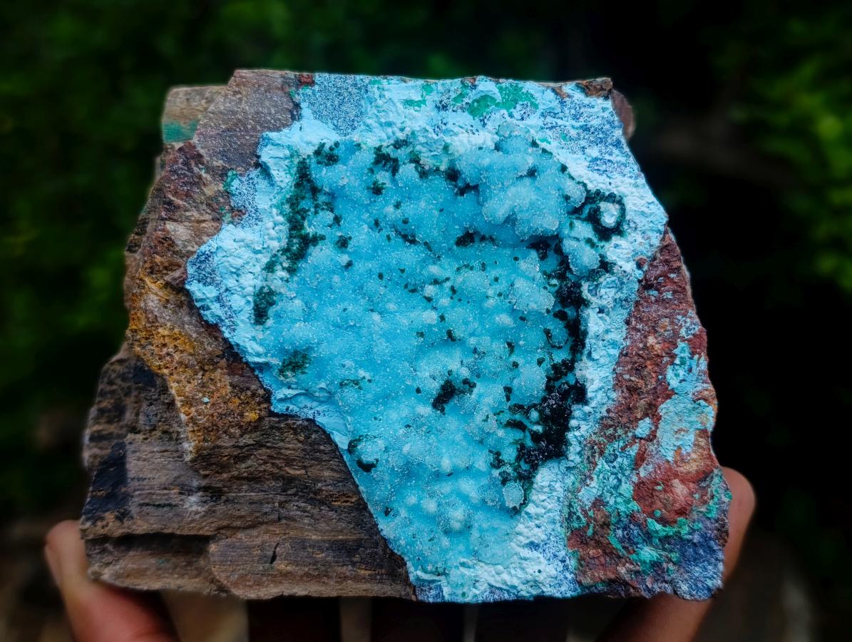 Natural Sparkling Stalagmitic Drusy Coated Chrysocolla with Acicular Malachite x 1 From Lupoto Mine, Congo