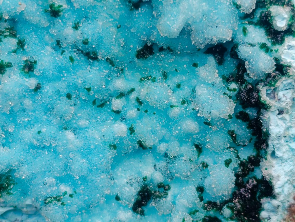 Natural Sparkling Stalagmitic Drusy Coated Chrysocolla with Acicular Malachite x 1 From Lupoto Mine, Congo