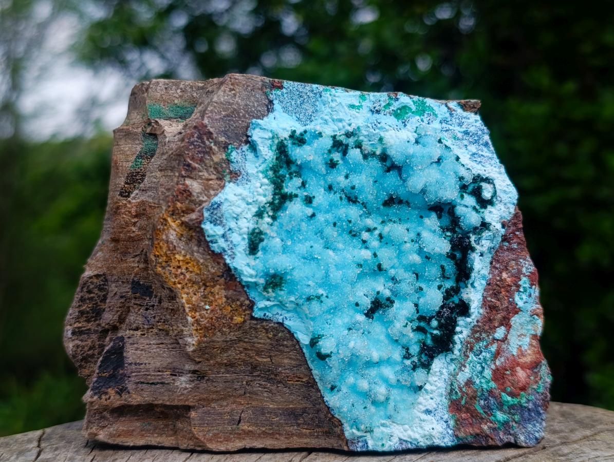 Natural Sparkling Stalagmitic Drusy Coated Chrysocolla with Acicular Malachite x 1 From Lupoto Mine, Congo