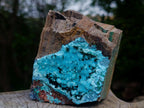 Natural Sparkling Stalagmitic Drusy Coated Chrysocolla with Acicular Malachite x 1 From Lupoto Mine, Congo