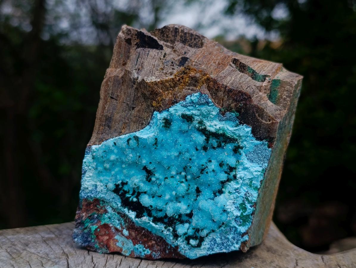 Natural Sparkling Stalagmitic Drusy Coated Chrysocolla with Acicular Malachite x 1 From Lupoto Mine, Congo
