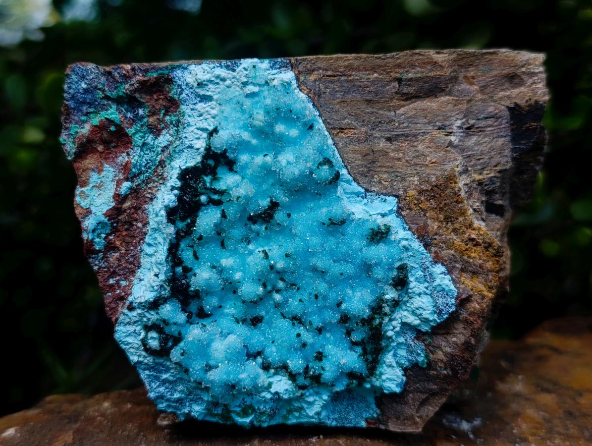 Natural Sparkling Stalagmitic Drusy Coated Chrysocolla with Acicular Malachite x 1 From Lupoto Mine, Congo