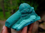 Natural Mixed Collectors Set of 6 African Minerals in a Wooden Display Box x 1 From Southern Africa