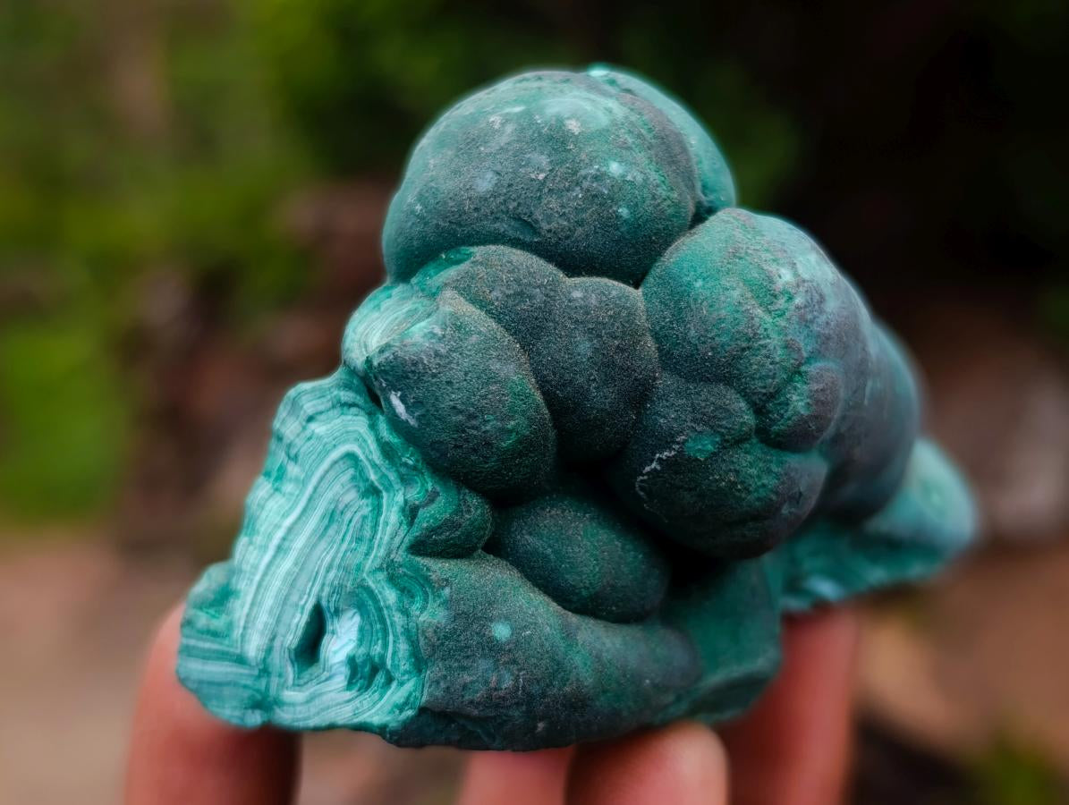 Natural Mixed Collectors Set of 6 African Minerals in a Wooden Display Box x 1 From Southern Africa