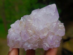 Natural Mixed Collectors Set of 6 African Minerals in a Wooden Display Box x 1 From Southern Africa