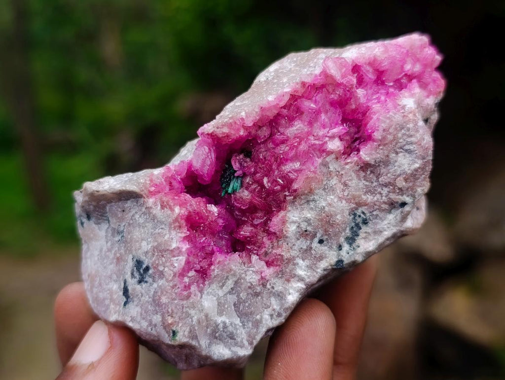Natural Mixed Collectors Set of 6 African Minerals in a Wooden Display Box x 1 From Southern Africa