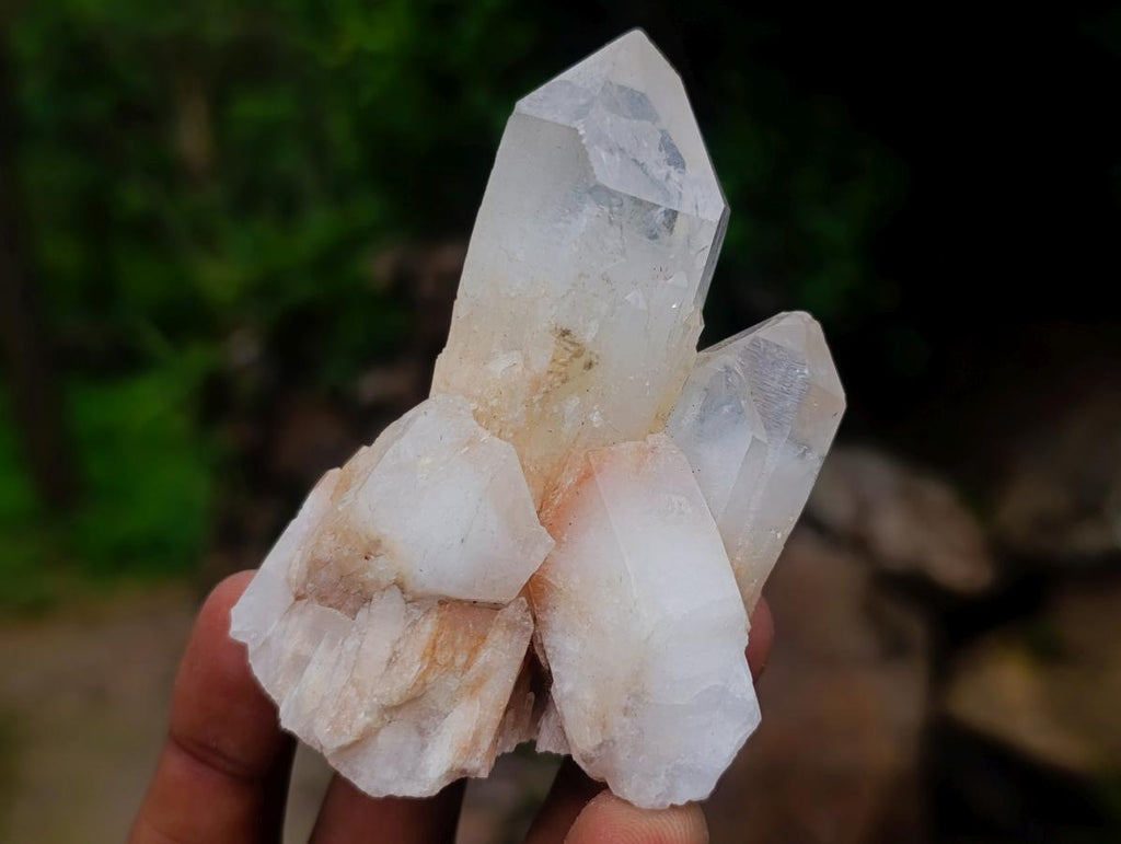 Natural Mixed Collectors Set of 6 African Minerals in a Wooden Display Box x 1 From Southern Africa
