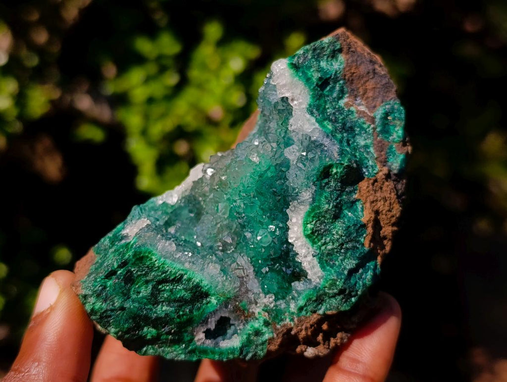 Natural Exquisite Clear Quartz Crystal Coated Chatoyant Silky Malachite Vug Specimen x 1 From Lupoto Mine, Congo