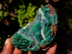 Natural Exquisite Clear Quartz Crystal Coated Chatoyant Silky Malachite Vug Specimen x 1 From Lupoto Mine, Congo