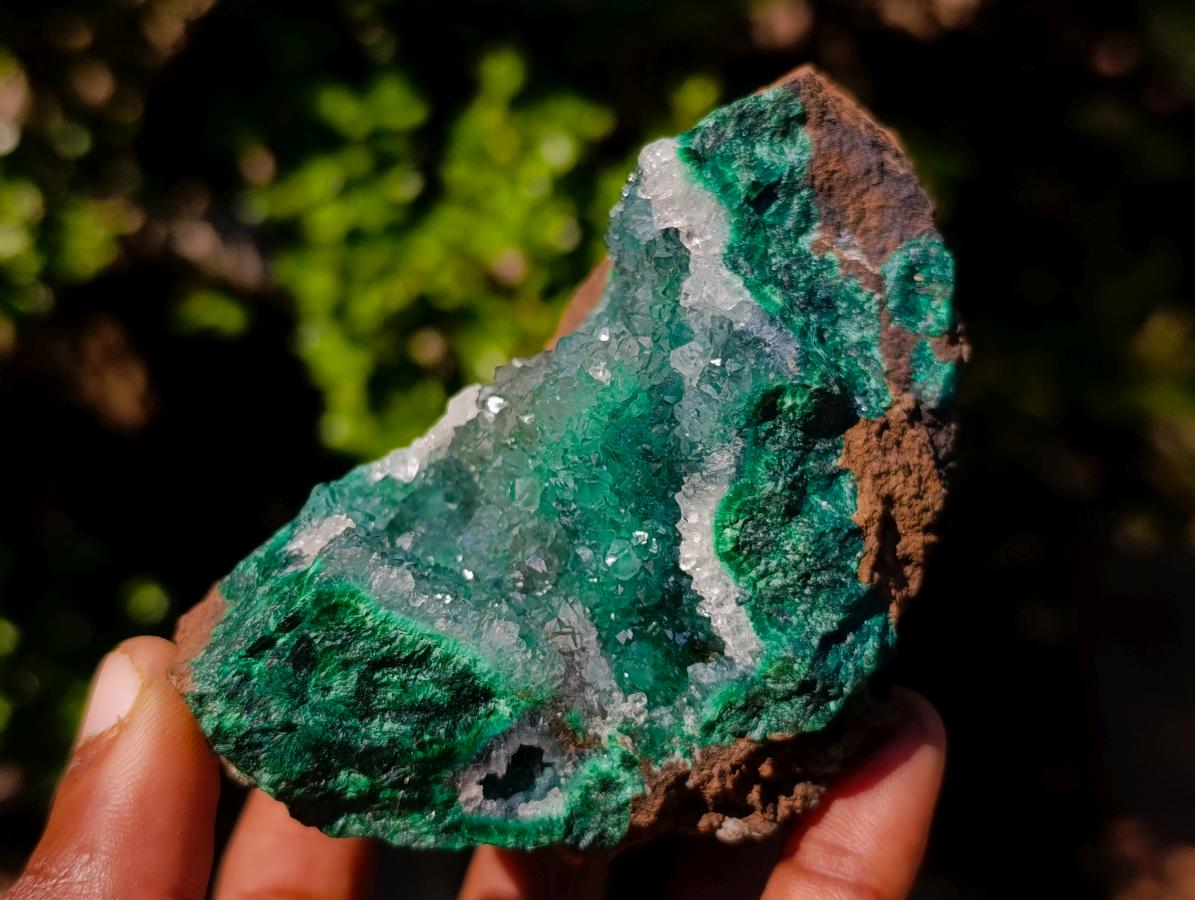 Natural Exquisite Clear Quartz Crystal Coated Chatoyant Silky Malachite Vug Specimen x 1 From Lupoto Mine, Congo