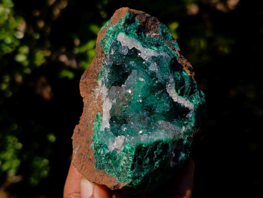 Natural Exquisite Clear Quartz Crystal Coated Chatoyant Silky Malachite Vug Specimen x 1 From Lupoto Mine, Congo