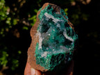 Natural Exquisite Clear Quartz Crystal Coated Chatoyant Silky Malachite Vug Specimen x 1 From Lupoto Mine, Congo