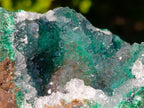 Natural Exquisite Clear Quartz Crystal Coated Chatoyant Silky Malachite Vug Specimen x 1 From Lupoto Mine, Congo