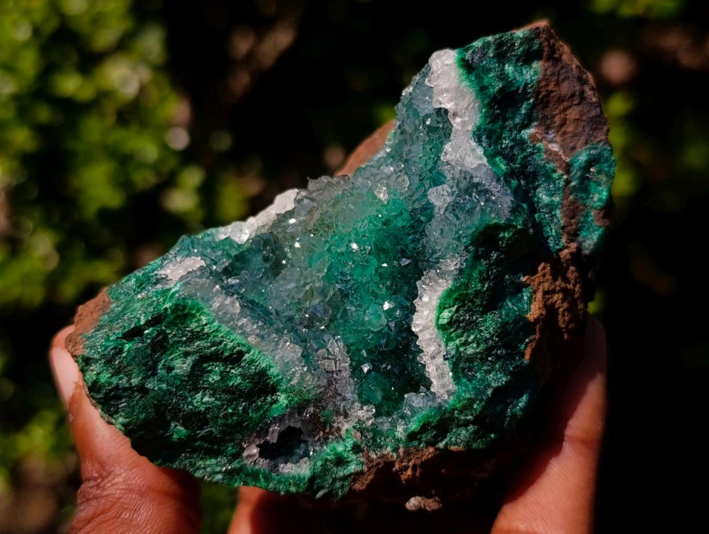 Natural Exquisite Clear Quartz Crystal Coated Chatoyant Silky Malachite Vug Specimen x 1 From Lupoto Mine, Congo