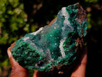 Natural Exquisite Clear Quartz Crystal Coated Chatoyant Silky Malachite Vug Specimen x 1 From Lupoto Mine, Congo