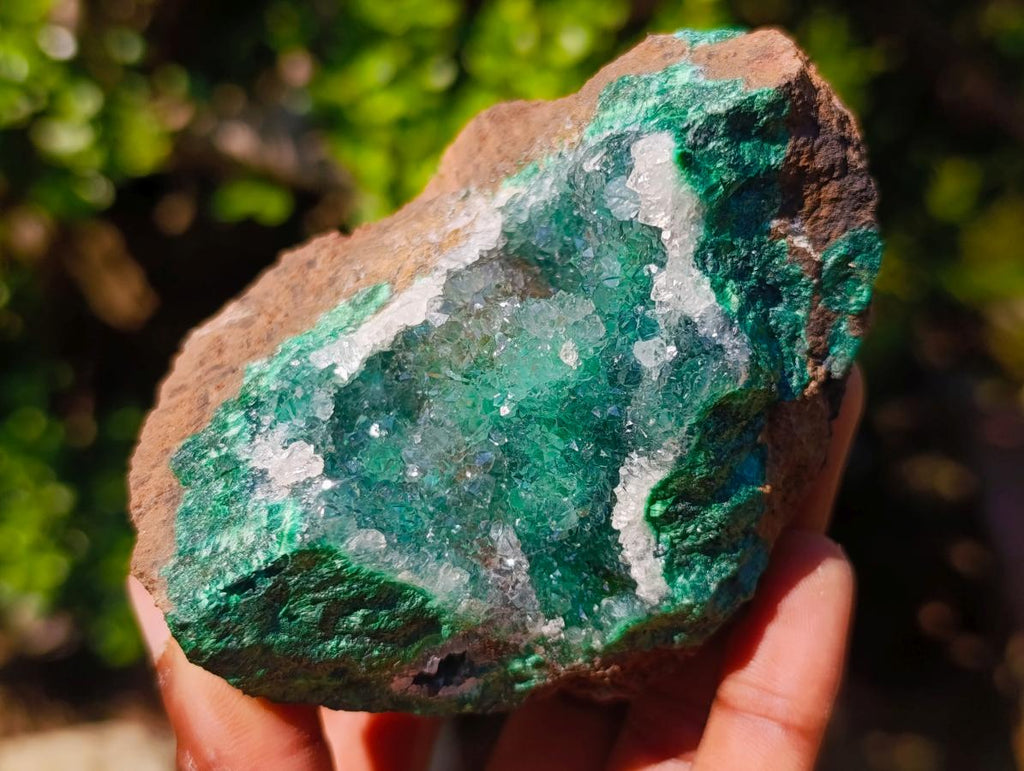 Natural Exquisite Clear Quartz Crystal Coated Chatoyant Silky Malachite Vug Specimen x 1 From Lupoto Mine, Congo