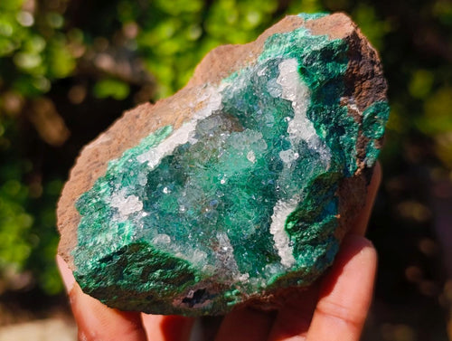 Natural Exquisite Clear Quartz Crystal Coated Chatoyant Silky Malachite Vug Specimen x 1 From Lupoto Mine, Congo