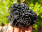 Natural Foitite in Black Tourmaline Crystal Specimen x 1 From Erongo, Namibia