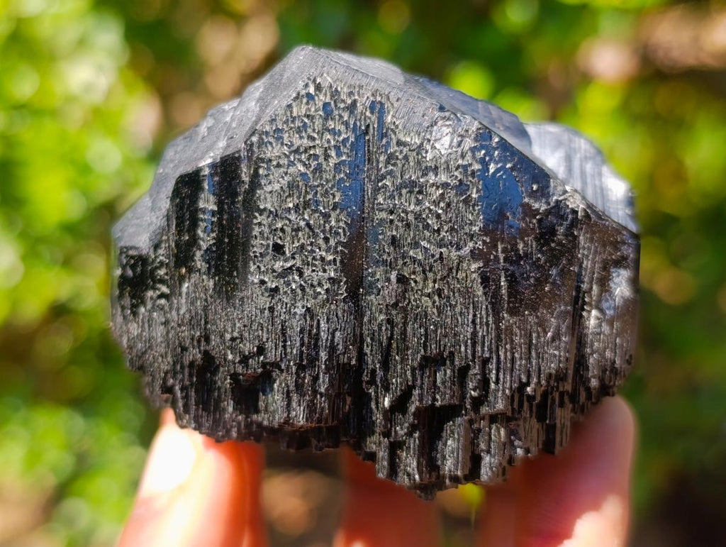 Natural Foitite in Black Tourmaline Crystal Specimen x 1 From Erongo, Namibia