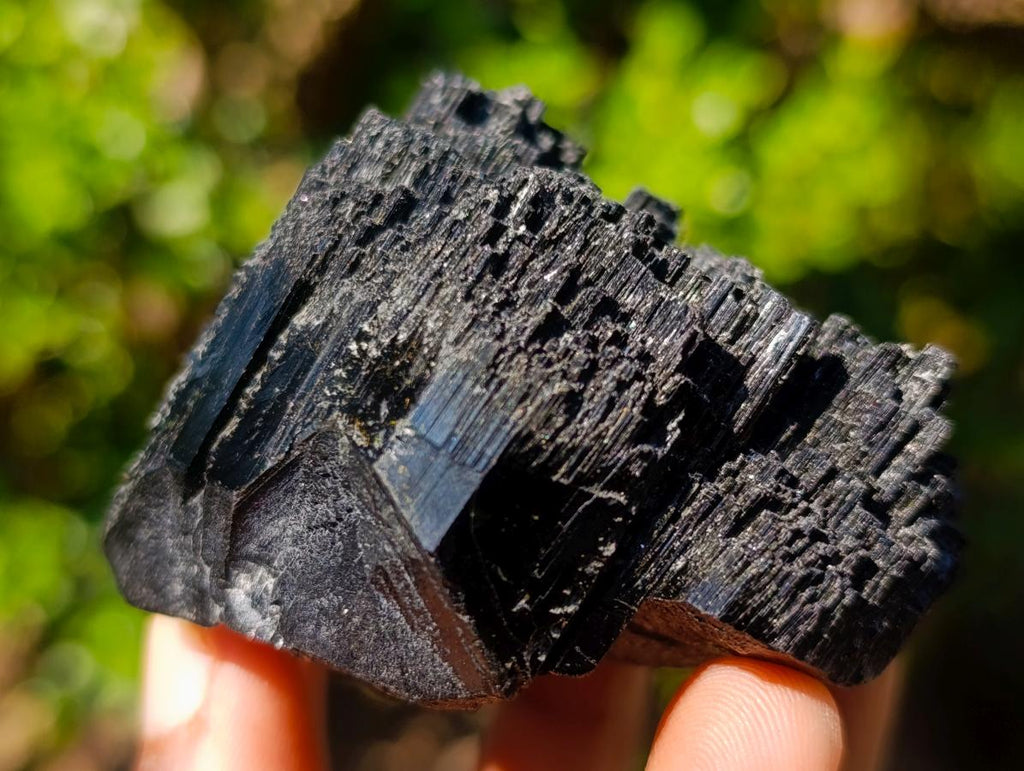 Natural Foitite in Black Tourmaline Crystal Specimen x 1 From Erongo, Namibia