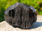 Natural Foitite in Black Tourmaline Crystal Specimen x 1 From Erongo, Namibia