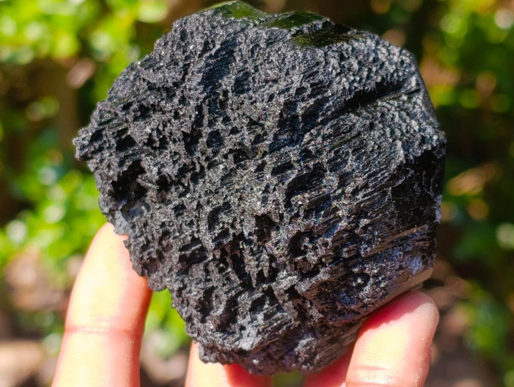 Natural Foitite in Black Tourmaline Crystal Specimen x 1 From Erongo, Namibia