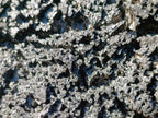 Natural Foitite in Black Tourmaline Crystal Specimen x 1 From Erongo, Namibia