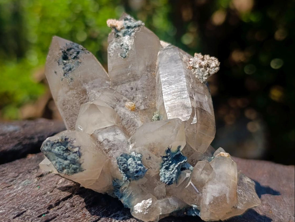 Natural Perfect Erongo Mountain Smokey Quartz Cluster with Double Terminated Crystals x 1 From Erongo, Namibia