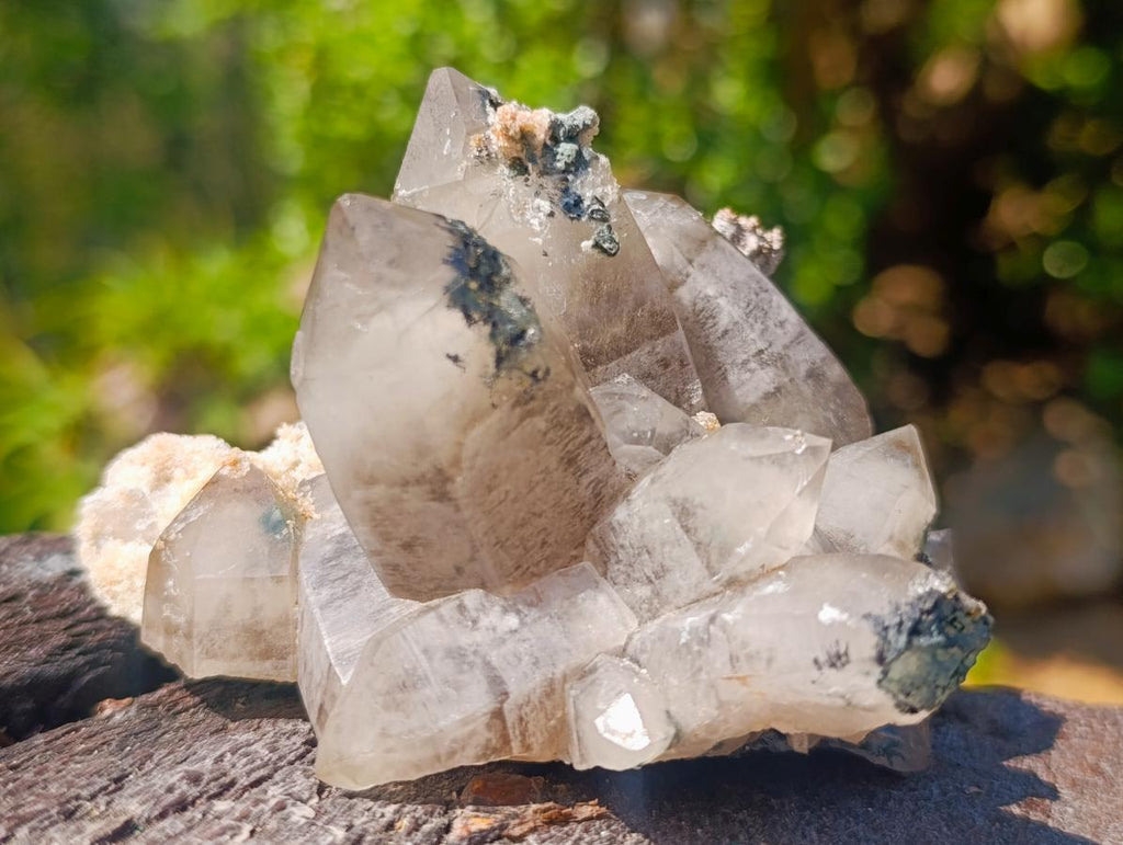 Natural Perfect Erongo Mountain Smokey Quartz Cluster with Double Terminated Crystals x 1 From Erongo, Namibia