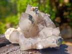 Natural Perfect Erongo Mountain Smokey Quartz Cluster with Double Terminated Crystals x 1 From Erongo, Namibia