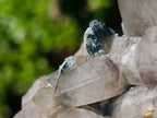 Natural Perfect Erongo Mountain Smokey Quartz Cluster with Double Terminated Crystals x 1 From Erongo, Namibia