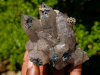 Natural Perfect Erongo Mountain Smokey Quartz Cluster with Double Terminated Crystals x 1 From Erongo, Namibia