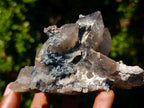 Natural Perfect Erongo Mountain Smokey Quartz Cluster with Double Terminated Crystals x 1 From Erongo, Namibia