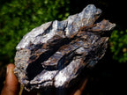 Polished One Side Silver Leaf Lepidolite with Actual Silver Mica Leaf Pattern x 1 From Zimbabwe